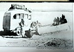 الملكة ماري