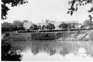 فنان ضوئي