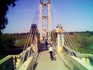 الجسر المعلق